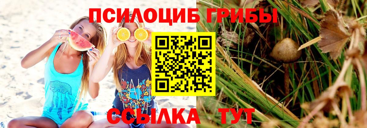 Клинцы  Псилоцибиновые грибы мицелий  Вход с VPN 